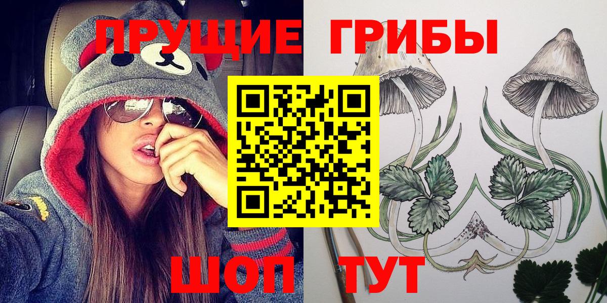 Галлюциногенные грибы Psilocybe  Вход с VPN  Галлюциногенные грибы Psilocybe  Озёрск 